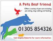 A PETS BEST FRIEND offers pet sitting / walking services