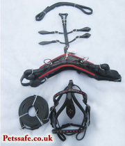 LEATHER MINIATURE DRIVING HARNESS BLACK WITH RED COLOR